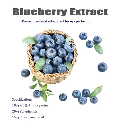 Pure Blueberry Concentrate/Blueberry Extract/Blueberry Fruit Powder
